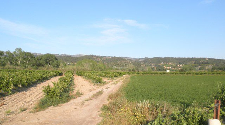 Tarragona - Tortosa - 43800m2