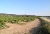 Terreno no urbanizable en venta en Tortosa ref: TR36560 foto