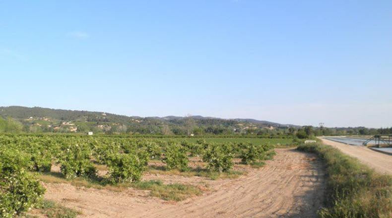 Tarragona - Tortosa - 43800m2
