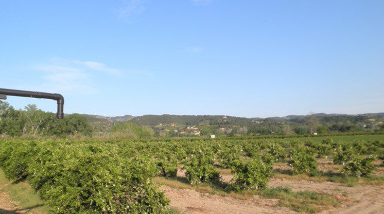 Tarragona - Tortosa - 43800m2