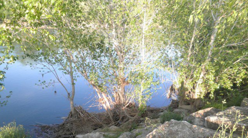 Tarragona - Tortosa - 43800m2
