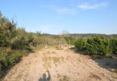Terreno no urbanizable en venta en Tortosa ref: TR36560 foto