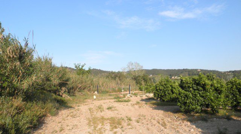 Tarragona - Tortosa - 43800m2
