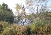 Terreno no urbanizable en venta en Tortosa ref: TR36560 foto