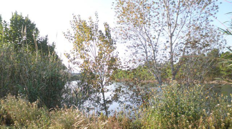 Tarragona - Tortosa - 43800m2