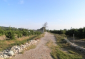 Terreno no urbanizable en venta en Tortosa ref: TR36560 foto