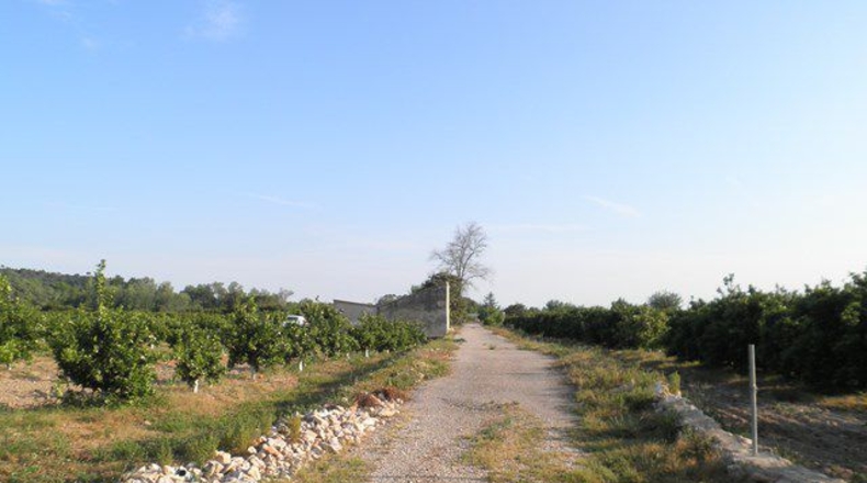 Tarragona - Tortosa - 43800m2