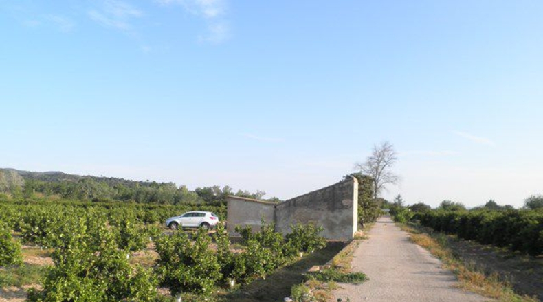 Tarragona - Tortosa - 43800m2