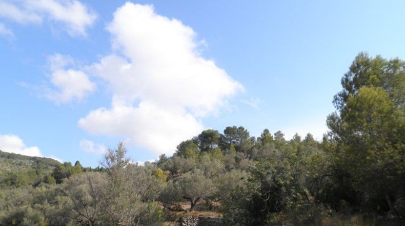 Tarragona - Tortosa - 30929m2