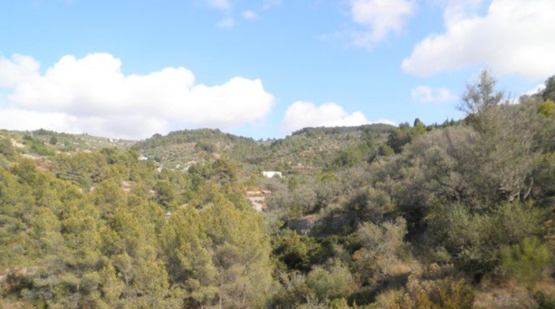 Tarragona - Tortosa - 30929m2