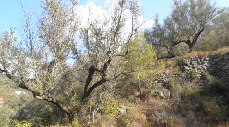 Tarragona - Tortosa - 30929m2
