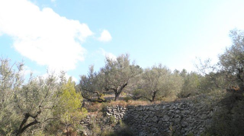 Tarragona - Tortosa - 30929m2