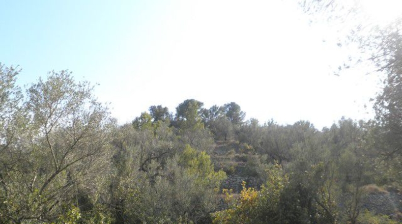 Tarragona - Tortosa - 30929m2