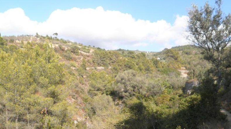 Tarragona - Tortosa - 30929m2