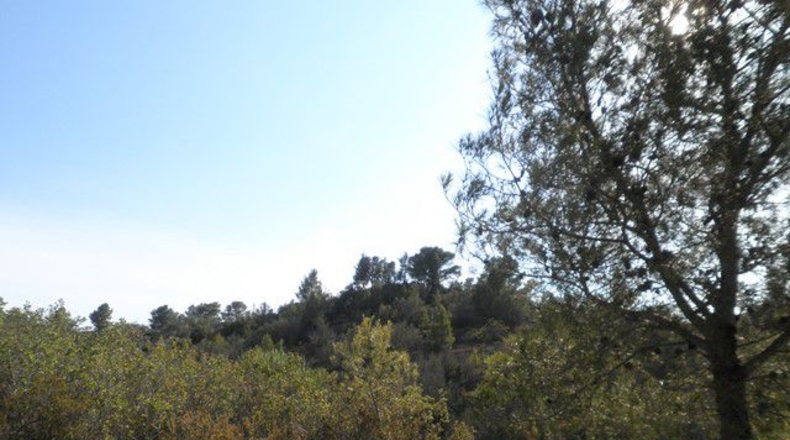 Tarragona - Tortosa - 30929m2