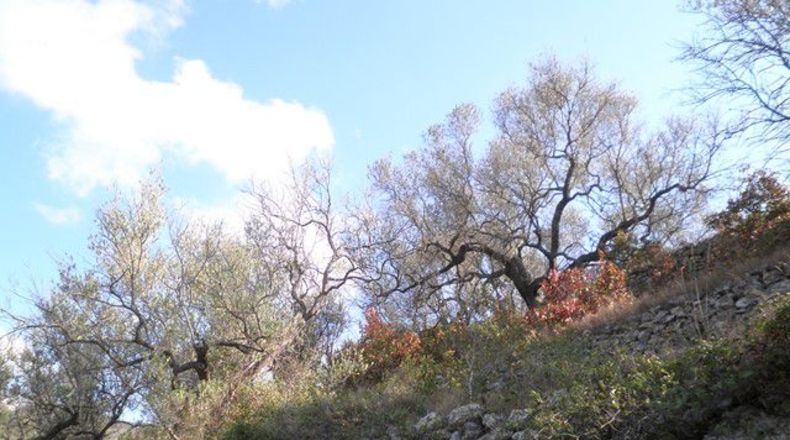 Tarragona - Tortosa - 30929m2