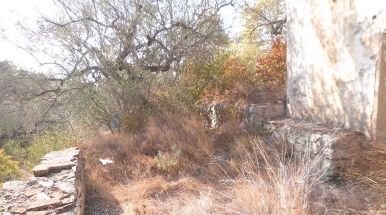 Tarragona - Tortosa - 30929m2