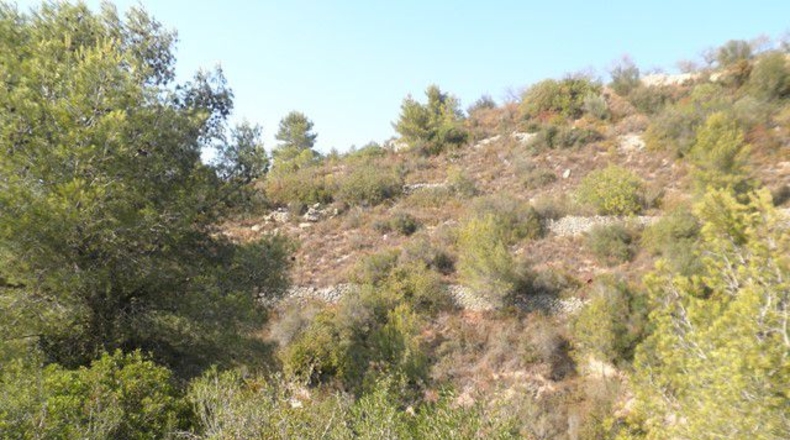 Tarragona - Tortosa - 30929m2