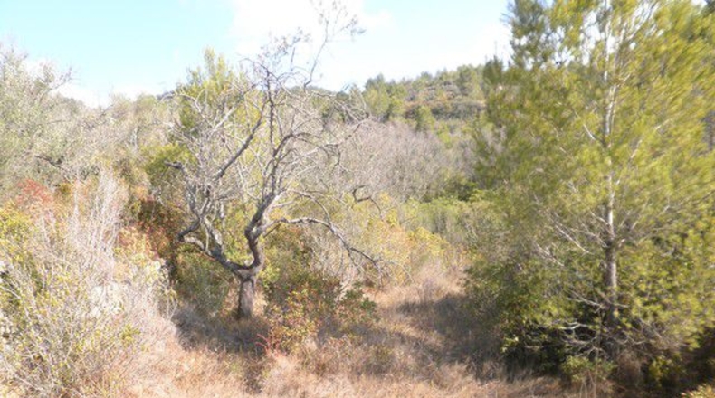 Tarragona - Tortosa - 30929m2