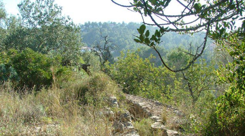 Tarragona - Tortosa - 3100m2