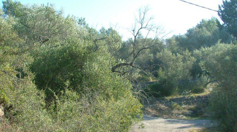 Tarragona - Tortosa - 3100m2