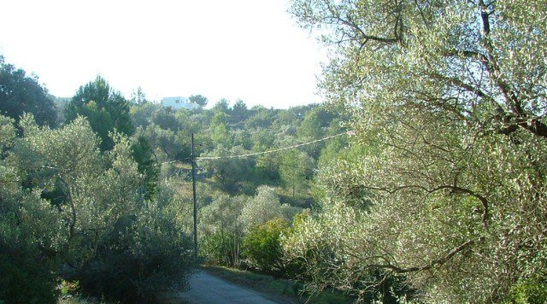 Tarragona - Tortosa - 3100m2