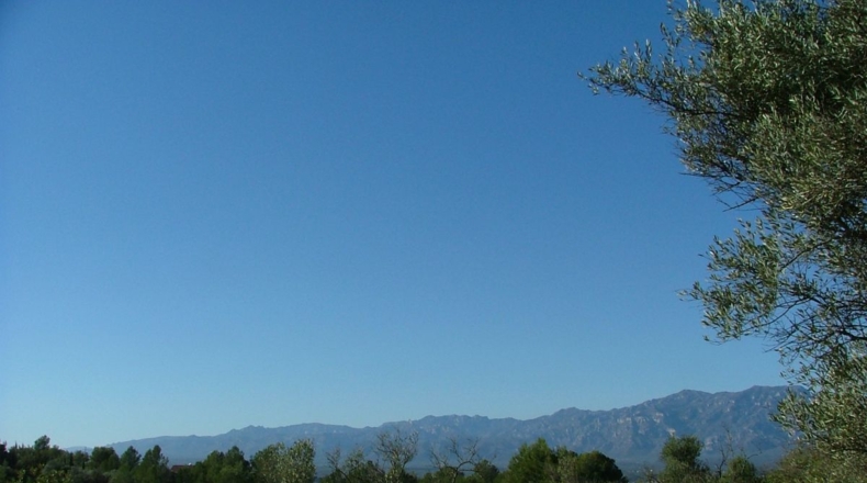 Tarragona - Tortosa - 3100m2