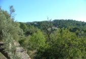 Земля на продажу у города Tortosa. Фото