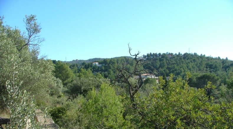 Tarragona - Tortosa - 3100m2