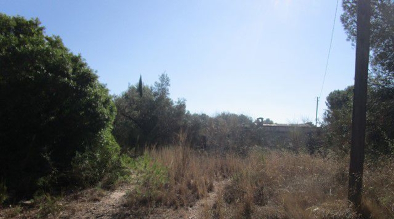 Tarragona - Tortosa - 1249m2