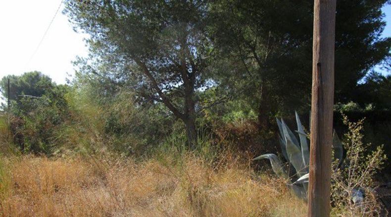 Tarragona - Tortosa - 1249m2