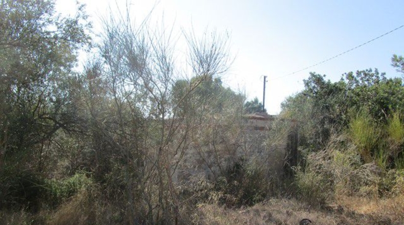 Tarragona - Tortosa - 1249m2