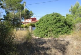 Foto 11