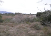 Terreno no urbanizable en venta en Roquetes ref: TR54161 foto