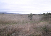 Terreno no urbanizable en venta en Roquetes ref: TR54161 foto