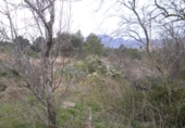 Terreno no urbanizable en venta en Roquetes ref: TR54161 foto