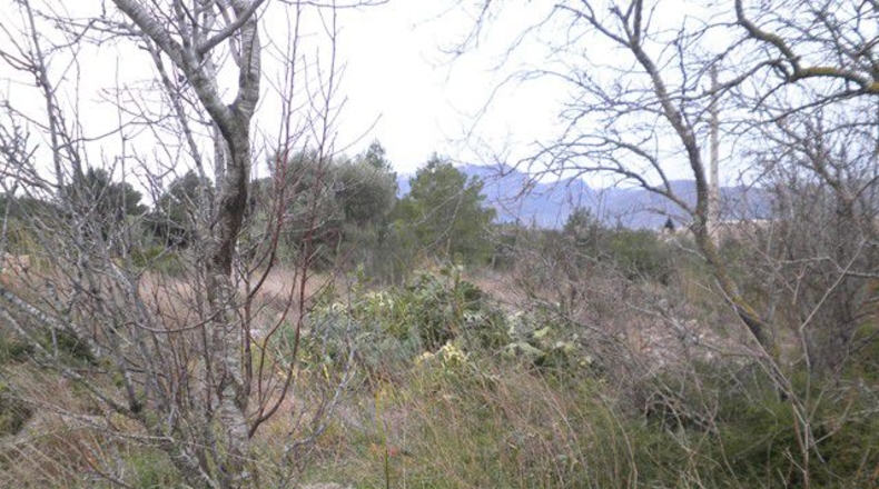Tarragona - la Carretera dels Reguers - 29076m2