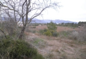 Terreno no urbanizable en venta en Roquetes ref: TR54161 foto