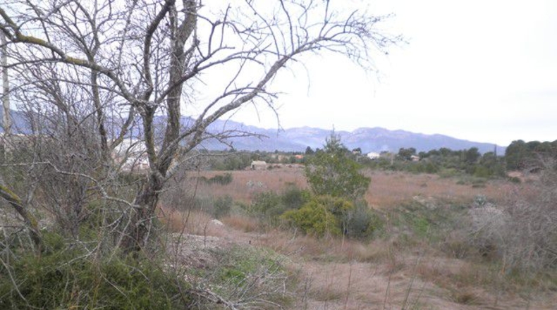 Tarragona - la Carretera dels Reguers - 29076m2