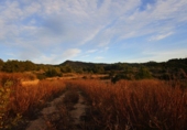 Finca rústica en venta en Tortosa ref: TR37212 foto