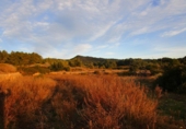 Finca rústica en venta en Tortosa ref: TR37212 foto
