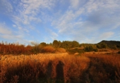 Finca rústica en venta en Tortosa ref: TR37212 foto