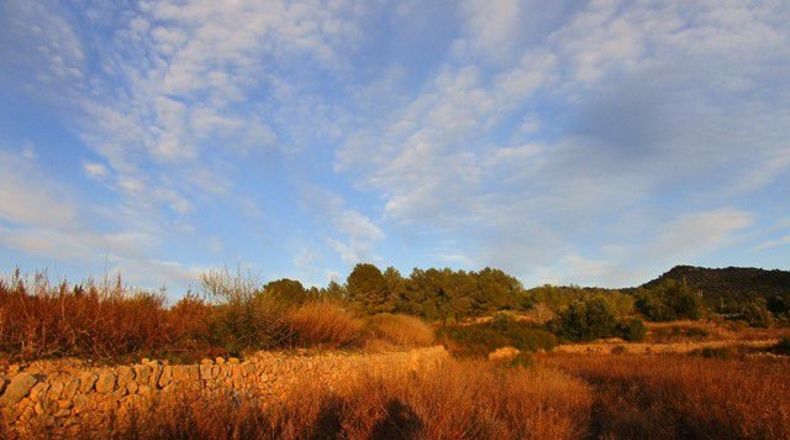 Tarragona - Tortosa - 113532m2