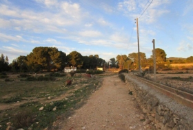Foto 9