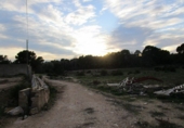 Finca rústica en venta en Tortosa ref: TR37212 foto