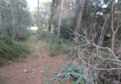 Finca rústica en venta en Tortosa ref: TR37212 foto