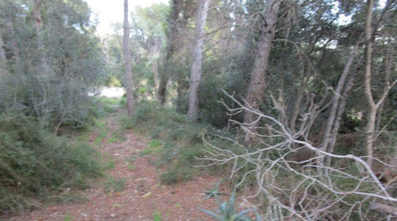 Tarragona - Tortosa - 113532m2