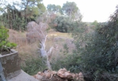 Finca rústica en venta en Tortosa ref: TR37212 foto