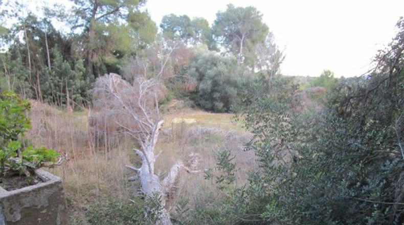Tarragona - Tortosa - 113532m2