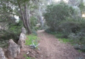 Finca rústica en venta en Tortosa ref: TR37212 foto